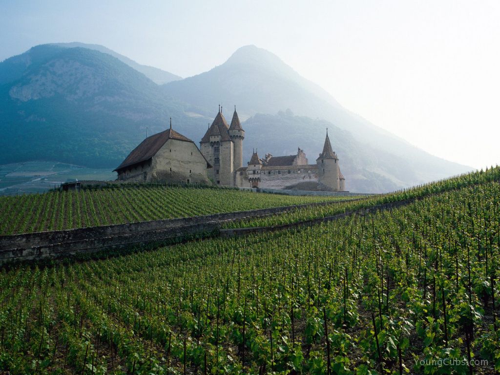 Swiss Countryside